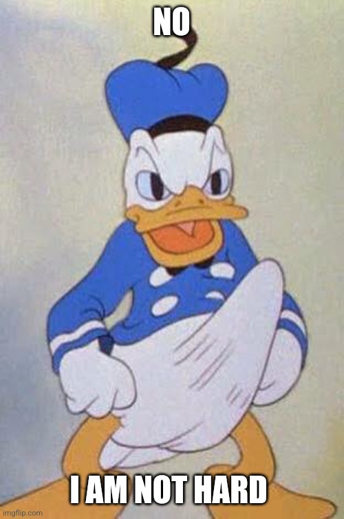 Horny Donald Duck | NO; I AM NOT HARD | image tagged in horny donald duck | made w/ Imgflip meme maker