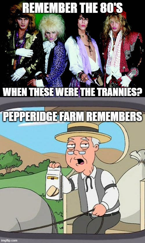 REMEMBER THE 80'S; WHEN THESE WERE THE TRANNIES? PEPPERIDGE FARM REMEMBERS | image tagged in memes,pepperidge farm remembers | made w/ Imgflip meme maker