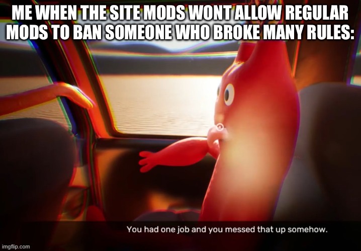You had one job banban | ME WHEN THE SITE MODS WONT ALLOW REGULAR MODS TO BAN SOMEONE WHO BROKE MANY RULES: | image tagged in you had one job banban | made w/ Imgflip meme maker