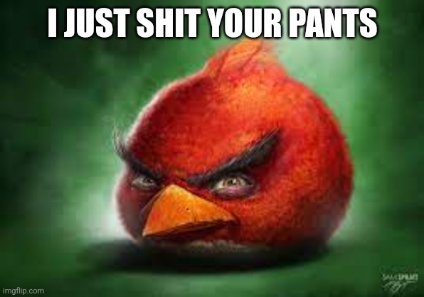 Realistic Red Angry Birds | I JUST SHIT YOUR PANTS | image tagged in realistic red angry birds | made w/ Imgflip meme maker