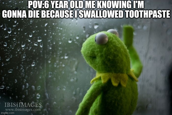 relatable? | POV:6 YEAR OLD ME KNOWING I'M GONNA DIE BECAUSE I SWALLOWED TOOTHPASTE | image tagged in kermit window,lol,relatable | made w/ Imgflip meme maker