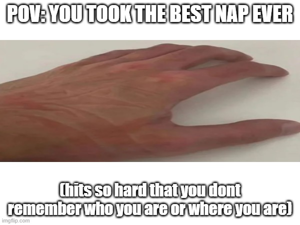 I once took a nap like this. It was a 25 hour long nap. | POV: YOU TOOK THE BEST NAP EVER; (hits so hard that you dont remember who you are or where you are) | image tagged in memes | made w/ Imgflip meme maker