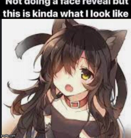 4rd time i posted this | made w/ Imgflip meme maker