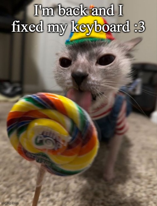 silly goober | I'm back and I fixed my keyboard :3 | image tagged in silly goober | made w/ Imgflip meme maker