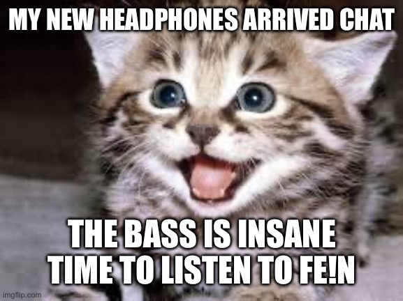 happy cat | MY NEW HEADPHONES ARRIVED CHAT; THE BASS IS INSANE TIME TO LISTEN TO FE!N | image tagged in happy cat | made w/ Imgflip meme maker