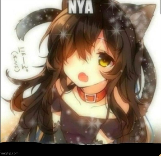 Nya | image tagged in nya | made w/ Imgflip meme maker