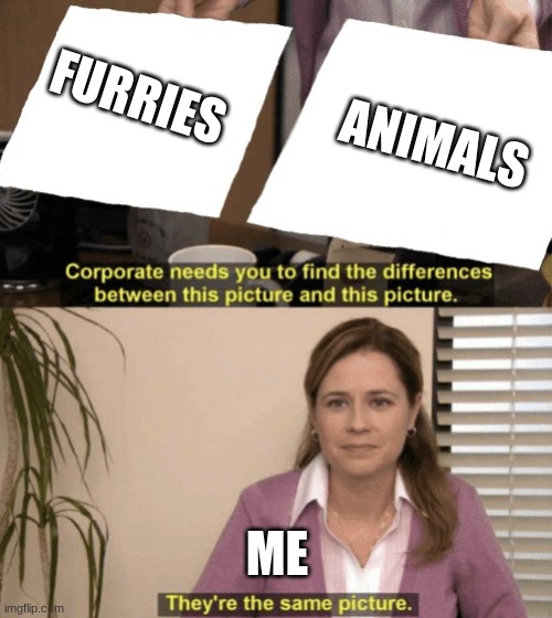Animals and Furries.. Whats The Difference? | FURRIES; ANIMALS; ME | image tagged in corporate needs you to find the differences | made w/ Imgflip meme maker