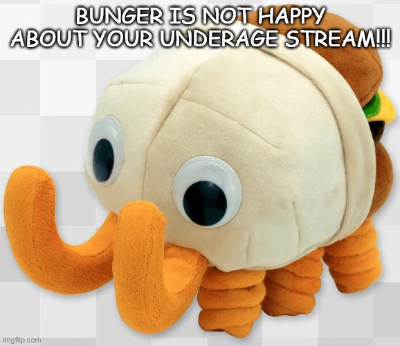 bunger plush | BUNGER IS NOT HAPPY ABOUT YOUR UNDERAGE STREAM!!! | image tagged in bunger plush | made w/ Imgflip meme maker