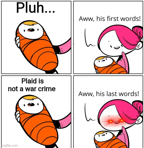 Not a war crime | Pluh... Plaid is not a war crime | image tagged in aww his last words,jpfan102504 | made w/ Imgflip meme maker