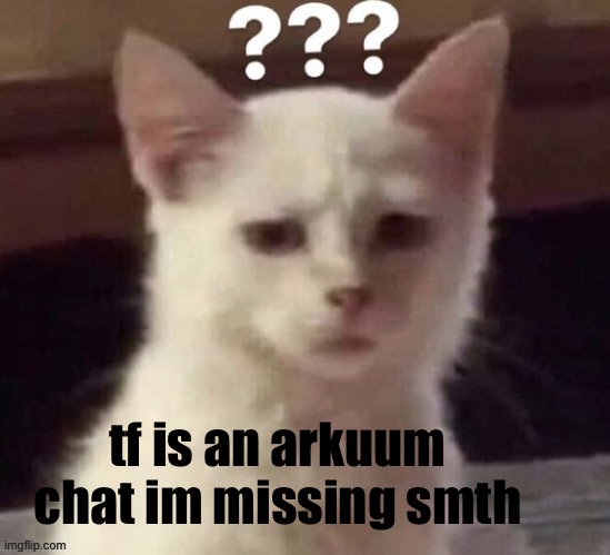 ? | tf is an arkuum chat im missing smth | made w/ Imgflip meme maker