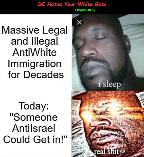 DC Hates Your White Guts | DC Hates Your White Guts; OzwinEVCG; Massive Legal 

and Illegal 

AntiWhite 

Immigration 

for Decades; Today: 

"Someone 

AntiIsrael 

Could Get in!" | image tagged in occupied america,sleeping shaq,zoglodytes,antiwhite,immigration,world occupied | made w/ Imgflip meme maker