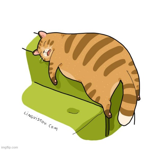 A Cat's Way Of Thinking | image tagged in memes,comics/cartoons,cats,sleeping on couch,perfect | made w/ Imgflip meme maker