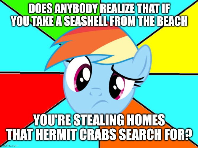 Don't Snatch Hermit Crab Shells | DOES ANYBODY REALIZE THAT IF YOU TAKE A SEASHELL FROM THE BEACH; YOU'RE STEALING HOMES THAT HERMIT CRABS SEARCH FOR? | image tagged in rainbow dash confused,shells,confusion,my little pony friendship is magic,rainbow dash,my little pony | made w/ Imgflip meme maker