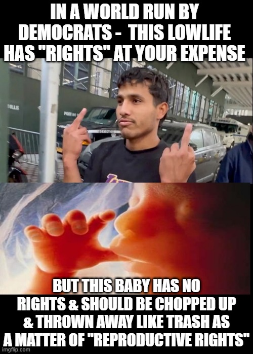 Coddle criminals and kill babies. It's the Democrat way. | IN A WORLD RUN BY DEMOCRATS -  THIS LOWLIFE HAS "RIGHTS" AT YOUR EXPENSE; BUT THIS BABY HAS NO RIGHTS & SHOULD BE CHOPPED UP & THROWN AWAY LIKE TRASH AS A MATTER OF "REPRODUCTIVE RIGHTS" | image tagged in roe vs wade,abortion,migrants,border security,prolife,prochoice | made w/ Imgflip meme maker