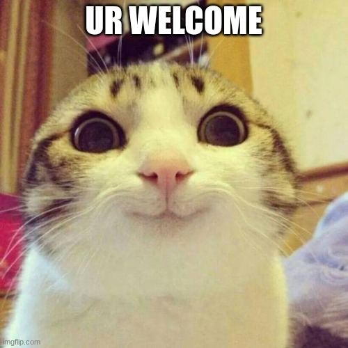 Smiling Cat Meme | UR WELCOME | image tagged in memes,smiling cat | made w/ Imgflip meme maker