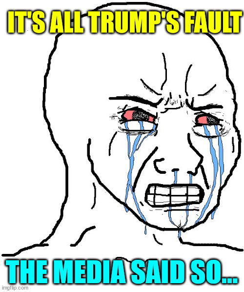 Angry Wojak | IT'S ALL TRUMP'S FAULT THE MEDIA SAID SO... | image tagged in angry wojak | made w/ Imgflip meme maker