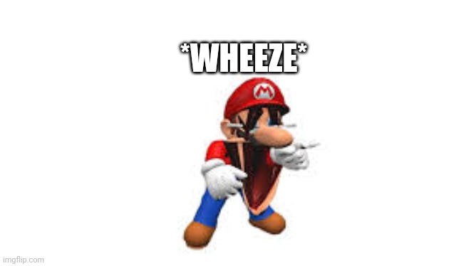 smg4 mario laughing | *WHEEZE* | image tagged in smg4 mario laughing | made w/ Imgflip meme maker