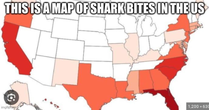 THIS IS A MAP OF SHARK BITES IN THE US | image tagged in i should buy a boat cat | made w/ Imgflip meme maker