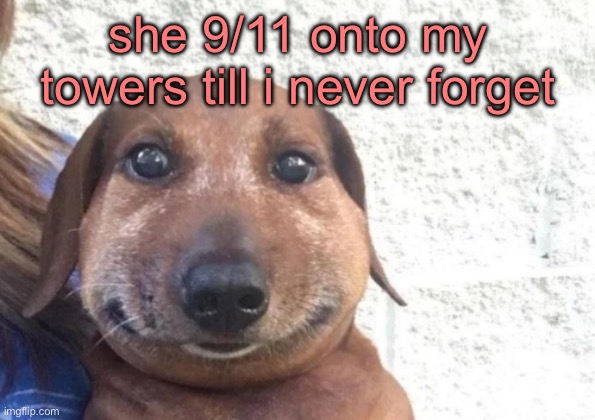 he is staring at you | she 9/11 onto my towers till i never forget | image tagged in he is staring at you | made w/ Imgflip meme maker