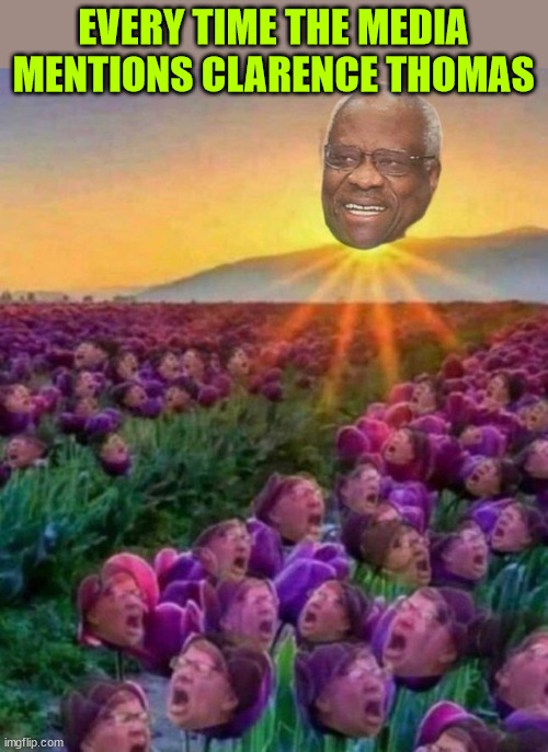 Some people are really triggered by the mention of his name... | EVERY TIME THE MEDIA MENTIONS CLARENCE THOMAS | image tagged in clarence thomas,supreme court justice,racists hate him | made w/ Imgflip meme maker