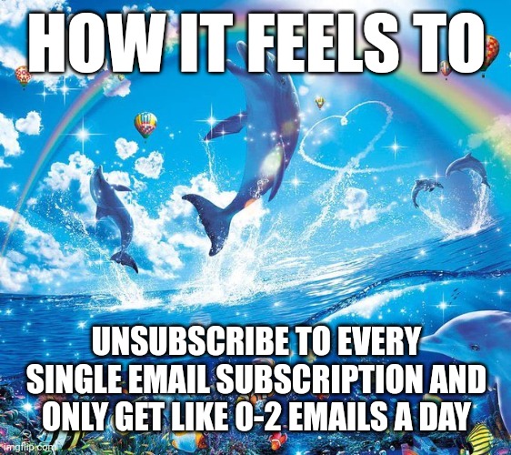 How it feels to x | HOW IT FEELS TO; UNSUBSCRIBE TO EVERY SINGLE EMAIL SUBSCRIPTION AND ONLY GET LIKE 0-2 EMAILS A DAY | image tagged in how it feels to x | made w/ Imgflip meme maker