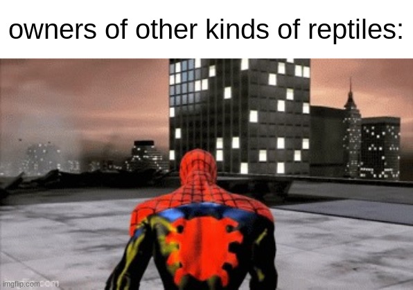 Sad spiderman walking | owners of other kinds of reptiles: | image tagged in sad spiderman walking | made w/ Imgflip meme maker