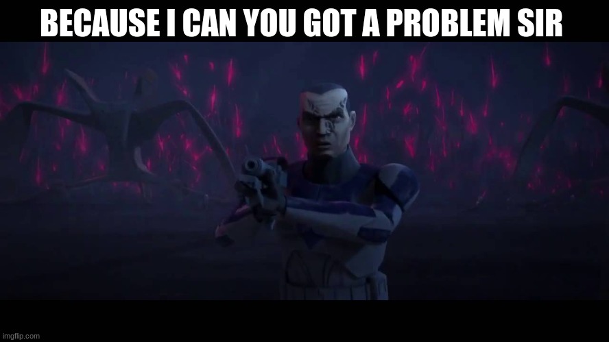 clone trooper | BECAUSE I CAN YOU GOT A PROBLEM SIR | image tagged in clone trooper | made w/ Imgflip meme maker