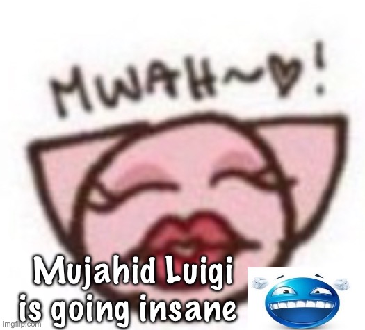 mwah | Mujahid Luigi is going insane | image tagged in mwah | made w/ Imgflip meme maker