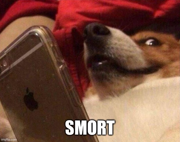 Dog phone | SMORT | image tagged in dog phone | made w/ Imgflip meme maker