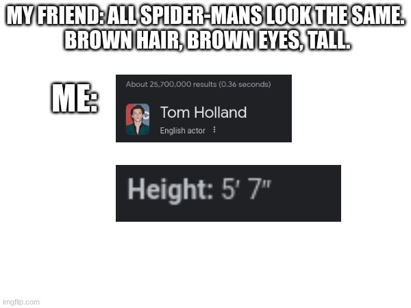 Tom Holland is not tall | MY FRIEND: ALL SPIDER-MANS LOOK THE SAME.
 BROWN HAIR, BROWN EYES, TALL. ME: | image tagged in spiderman,tom holland | made w/ Imgflip meme maker