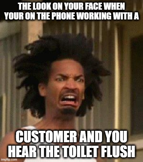 The gag face | THE LOOK ON YOUR FACE WHEN YOUR ON THE PHONE WORKING WITH A; CUSTOMER AND YOU HEAR THE TOILET FLUSH | image tagged in disgusted face,potty humor,tech support | made w/ Imgflip meme maker