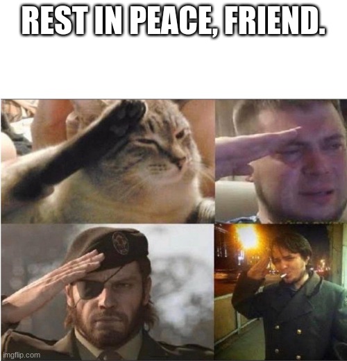 The Group Salute | REST IN PEACE, FRIEND. | image tagged in the group salute | made w/ Imgflip meme maker