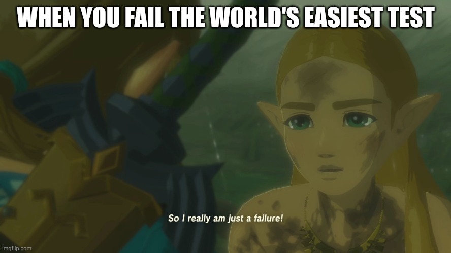 Have you done this | WHEN YOU FAIL THE WORLD'S EASIEST TEST | image tagged in zelda so i really am just a failure | made w/ Imgflip meme maker