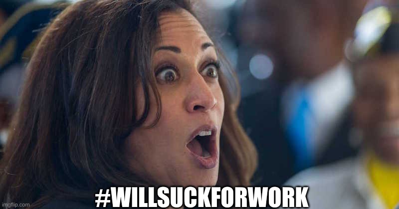 She works because she sucks. She sucks at work too | #WILLSUCKFORWORK | image tagged in kamala harriss | made w/ Imgflip meme maker