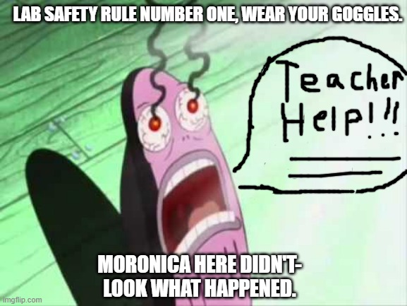 my eyes | LAB SAFETY RULE NUMBER ONE, WEAR YOUR GOGGLES. MORONICA HERE DIDN'T-
LOOK WHAT HAPPENED. | image tagged in my eyes | made w/ Imgflip meme maker