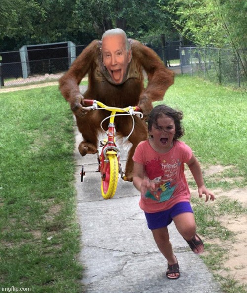 Orangutan chasing girl on a tricycle | image tagged in orangutan chasing girl on a tricycle | made w/ Imgflip meme maker