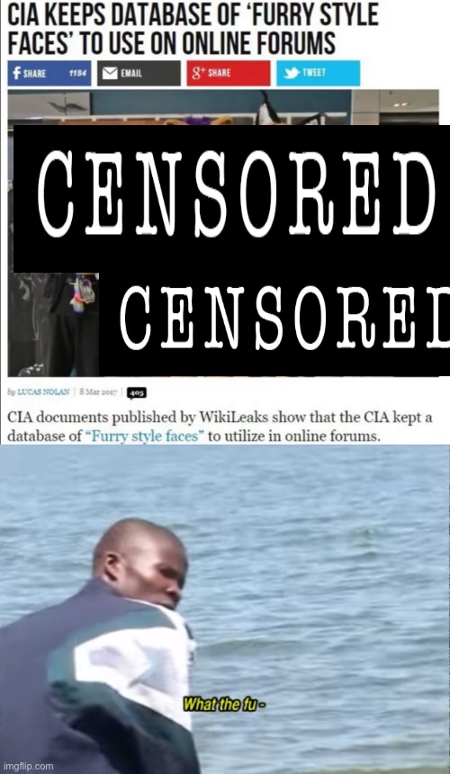 If you’re wondering about the “censored” images, they were wearing fursuits. This was meant to be a joke. | image tagged in what the fu- | made w/ Imgflip meme maker
