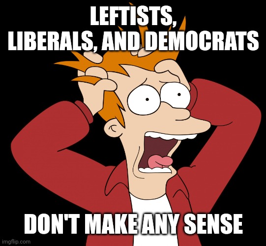 Futurama Fry Screaming | LEFTISTS, LIBERALS, AND DEMOCRATS DON'T MAKE ANY SENSE | image tagged in futurama fry screaming | made w/ Imgflip meme maker