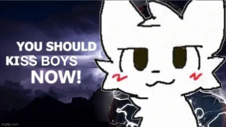 you should kiss boys NOW! | image tagged in you should kiss boys now | made w/ Imgflip meme maker