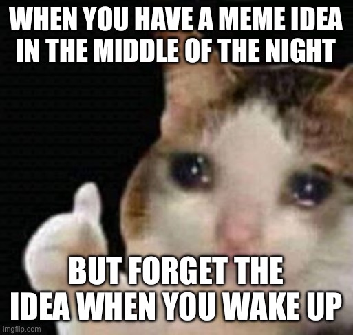 Literally just happened to me except it's the afternoon | WHEN YOU HAVE A MEME IDEA IN THE MIDDLE OF THE NIGHT; BUT FORGET THE IDEA WHEN YOU WAKE UP | image tagged in sad thumbs up cat | made w/ Imgflip meme maker