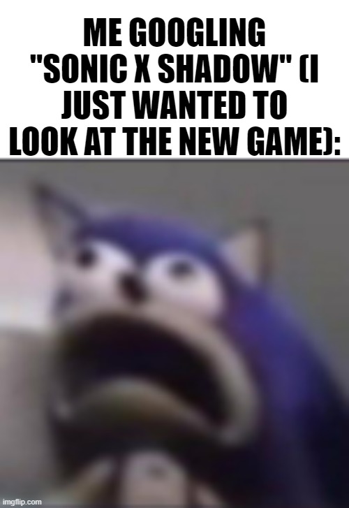 distress | ME GOOGLING "SONIC X SHADOW" (I JUST WANTED TO LOOK AT THE NEW GAME): | image tagged in distress,sonic the hedgehog,sonic,memes,sonic fanbase reaction,sonic meme | made w/ Imgflip meme maker