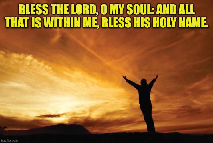 Praise the Lord | BLESS THE LORD, O MY SOUL: AND ALL THAT IS WITHIN ME, BLESS HIS HOLY NAME. | image tagged in praise the lord | made w/ Imgflip meme maker