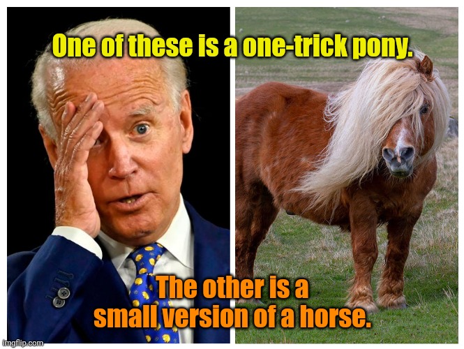 Fun Fact: Their scat is indistinguishable! | One of these is a one-trick pony. The other is a small version of a horse. | made w/ Imgflip meme maker