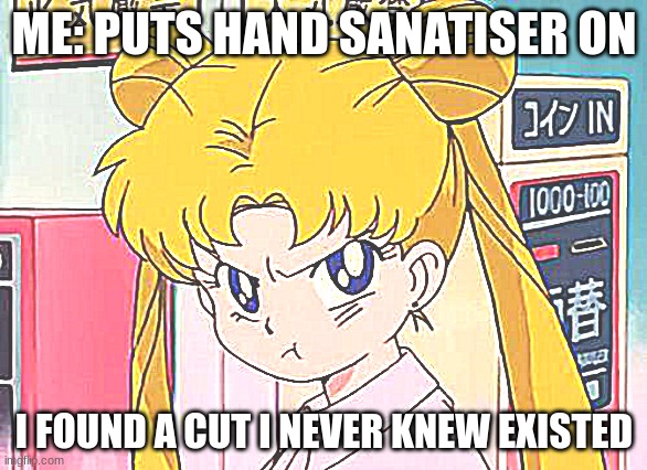 AHHHH NOT A CUT | ME: PUTS HAND SANATISER ON; I FOUND A CUT I NEVER KNEW EXISTED | image tagged in sailor moon | made w/ Imgflip meme maker
