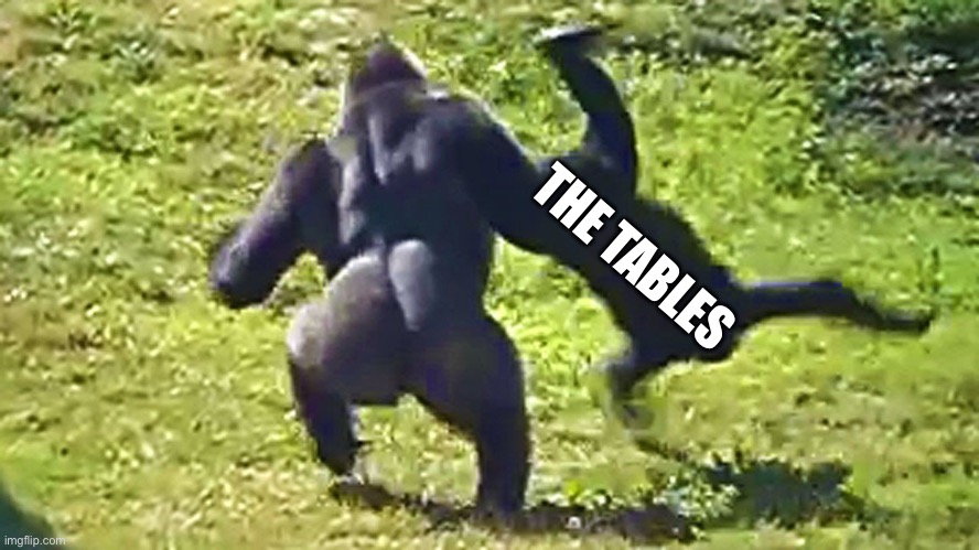 Gorilla flipping gorilla | THE TABLES | image tagged in gorilla flipping gorilla | made w/ Imgflip meme maker