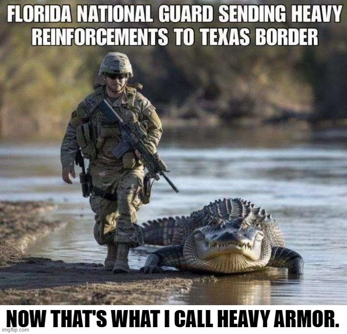 Florida National Guard Sending Heavy Reinforcements to Texas Border | image tagged in florida,national guard,texas,border patrol,border security,border wall | made w/ Imgflip meme maker