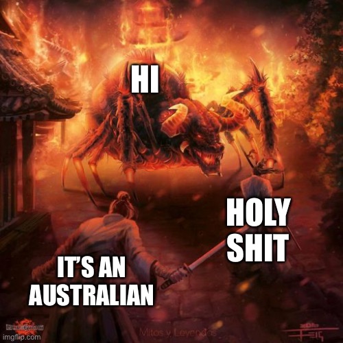 Badass spider thing | HI; HOLY SHIT; IT’S AN AUSTRALIAN | image tagged in badass spider thing | made w/ Imgflip meme maker