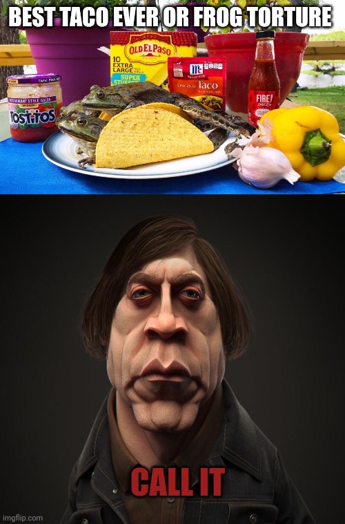 Call it | BEST TACO EVER OR FROG TORTURE; CALL IT | image tagged in call it,frog,torture,f the french | made w/ Imgflip meme maker