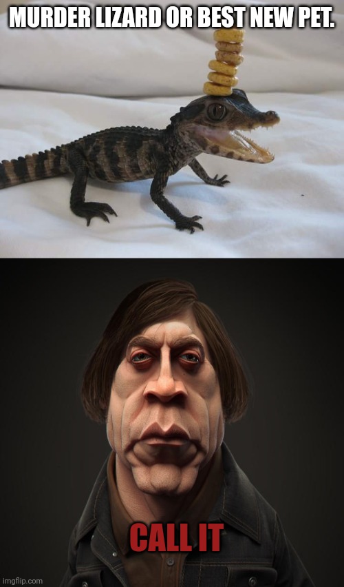 Call it | MURDER LIZARD OR BEST NEW PET. CALL IT | image tagged in baby alligator with cherios on its head,call it | made w/ Imgflip meme maker