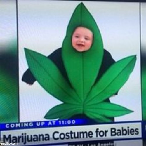 wow | image tagged in memes,funny,weed | made w/ Imgflip meme maker